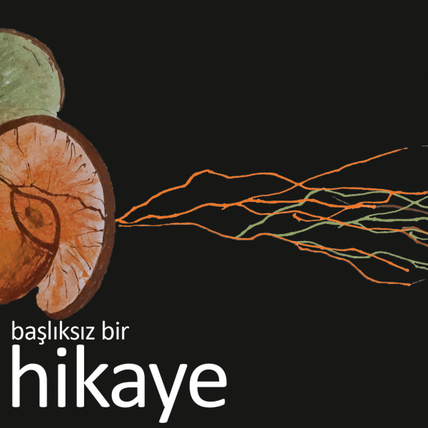 Başlıksız Bir Hikaye